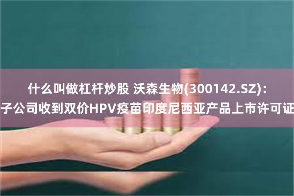 什么叫做杠杆炒股 沃森生物(300142.SZ)：子公司收到双价HPV疫苗印度尼西亚产品上市许可证