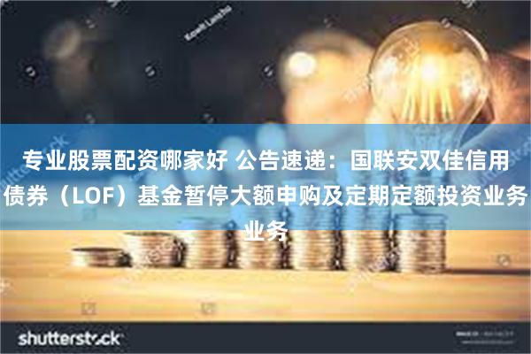 专业股票配资哪家好 公告速递：国联安双佳信用债券（LOF）基金暂停大额申购及定期定额投资业务